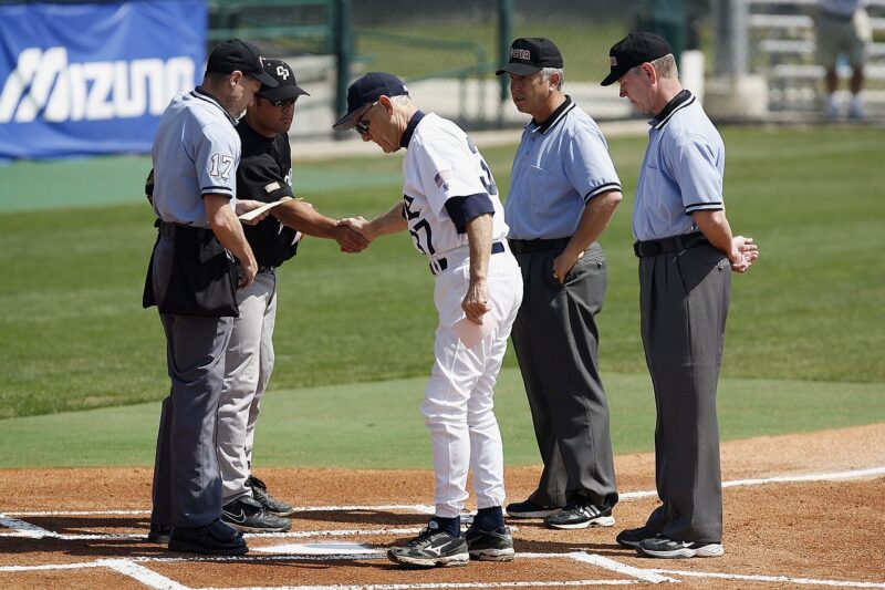 高校野球の審判になりたい 資格は 給料は ひとすくい